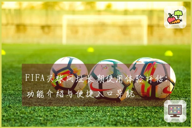 FIFA买球网址长期使用体验评估：功能介绍与便捷入口导航