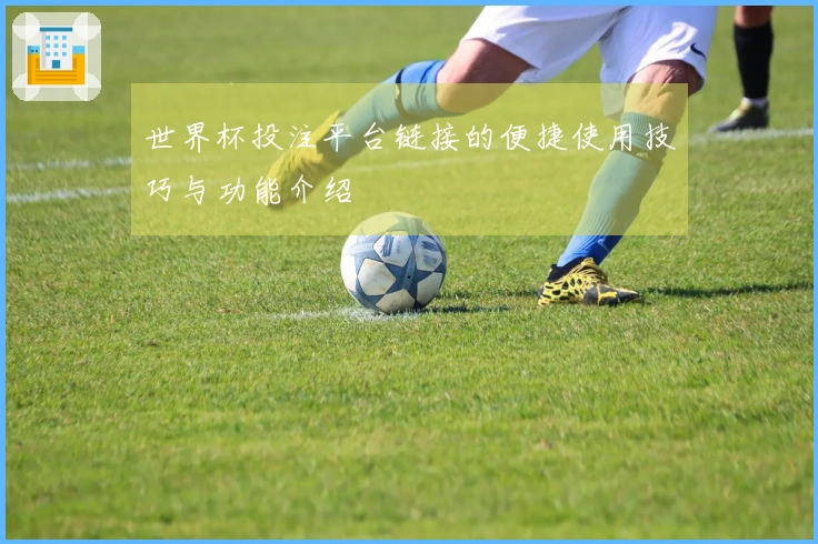 世界杯投注平台链接的便捷使用技巧与功能介绍