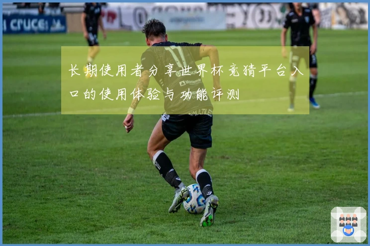 长期使用者分享世界杯竞猜平台入口的使用体验与功能评测