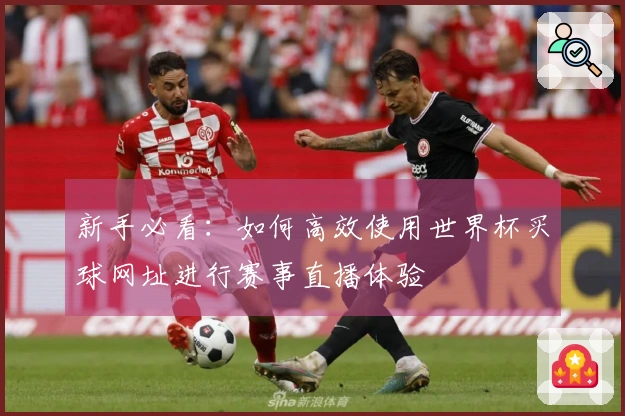 新手必看：如何高效使用世界杯买球网址进行赛事直播体验