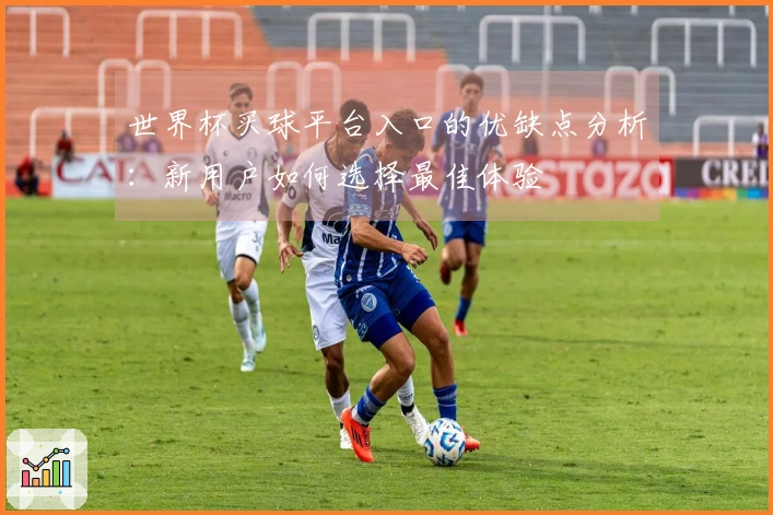 世界杯买球平台入口的优缺点分析：新用户如何选择最佳体验