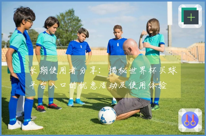 长期使用者分享：揭秘世界杯买球平台入口的优惠活动及使用体验