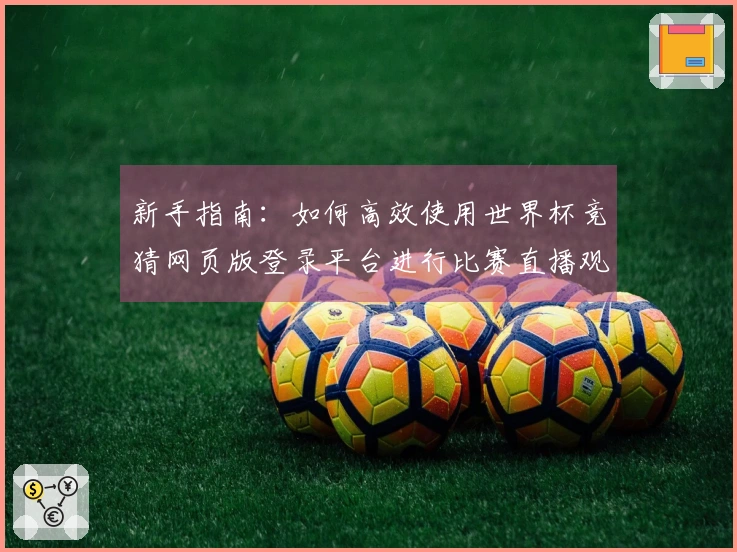 新手指南：如何高效使用世界杯竞猜网页版登录平台进行比赛直播观看