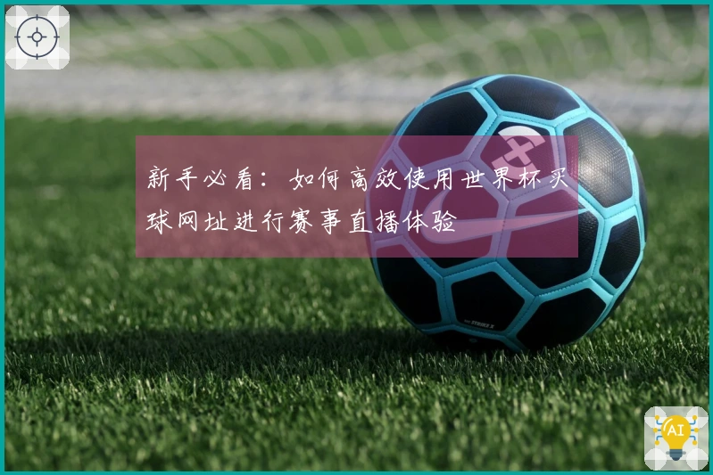 新手必看：如何高效使用世界杯买球网址进行赛事直播体验