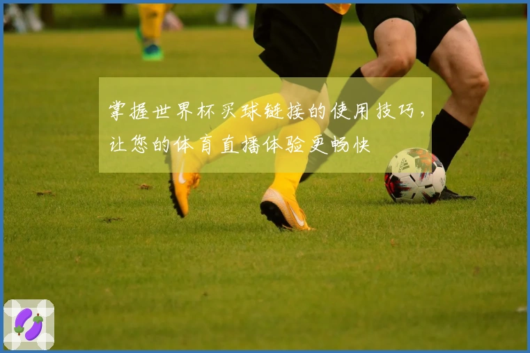 掌握世界杯买球链接的使用技巧，让您的体育直播体验更畅快