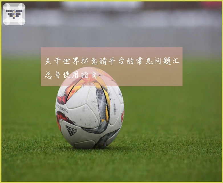 关于世界杯竞猜平台的常见问题汇总与使用指南