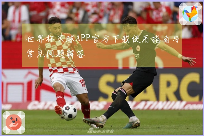 世界杯买球APP官方下载使用指南与常见问题解答